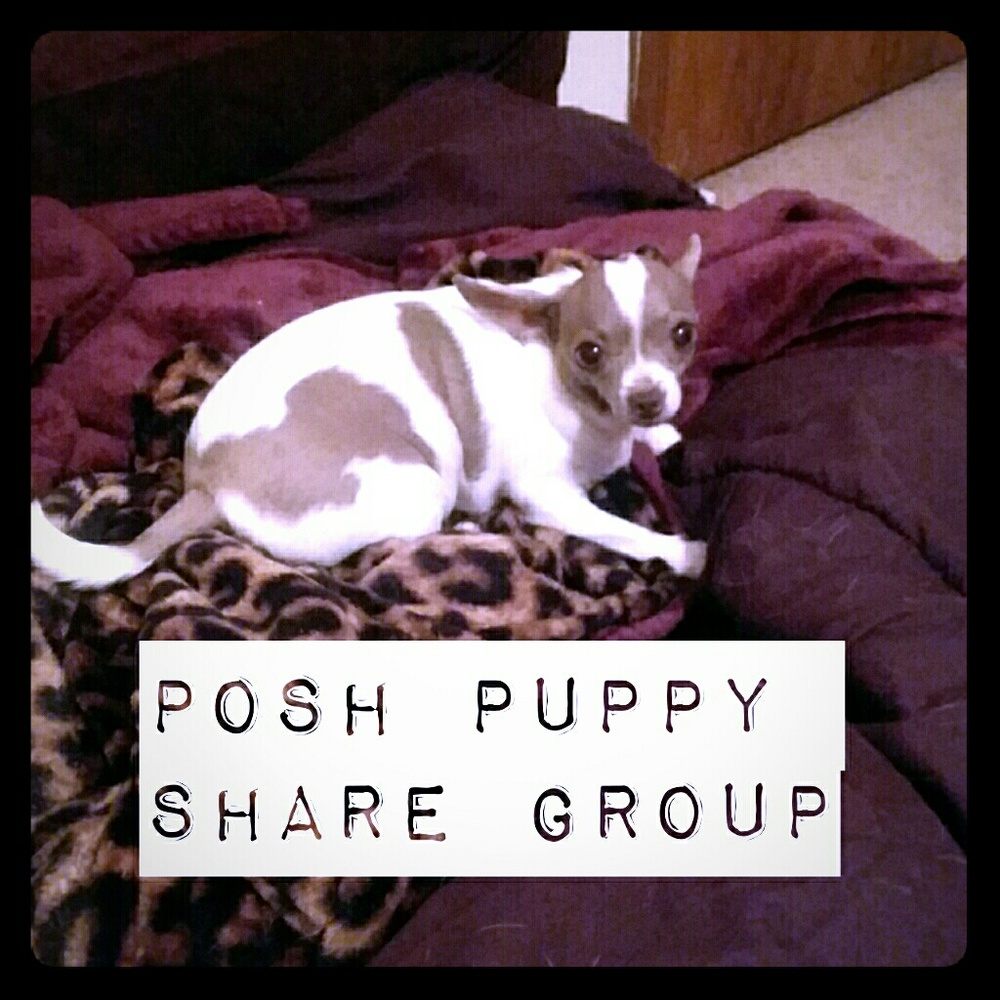 POSH PUPPY SHARE GROUP  🐶🐶🐶